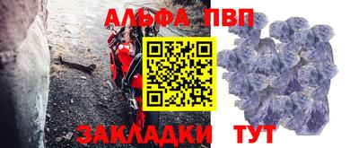 спиды Гай