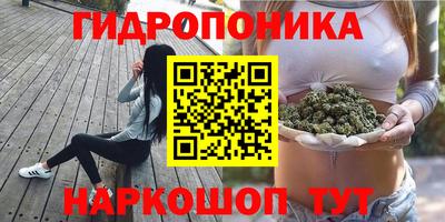 спиды Гай