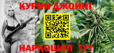спиды Гай