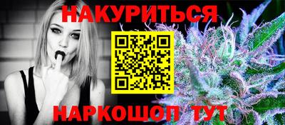 спиды Гай