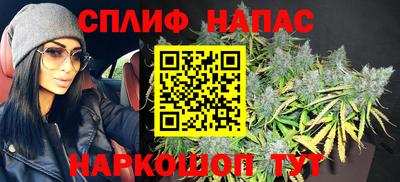 спиды Гай