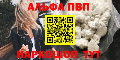 спиды Гай
