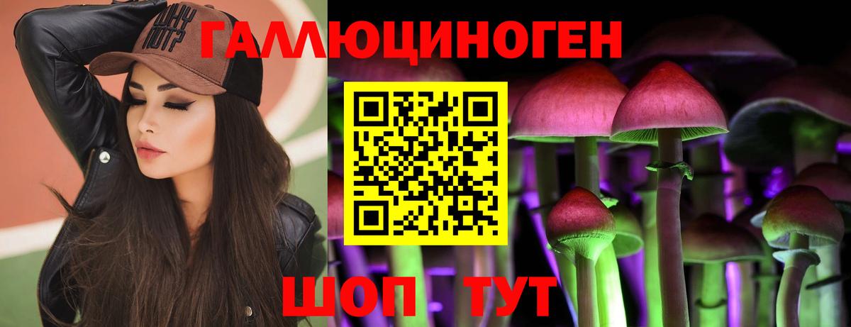 Малгобек  Псилоцибиновые грибы MAGIC MUSHROOMS  Псилоцибиновые грибы мицелий  Вход с VPN 